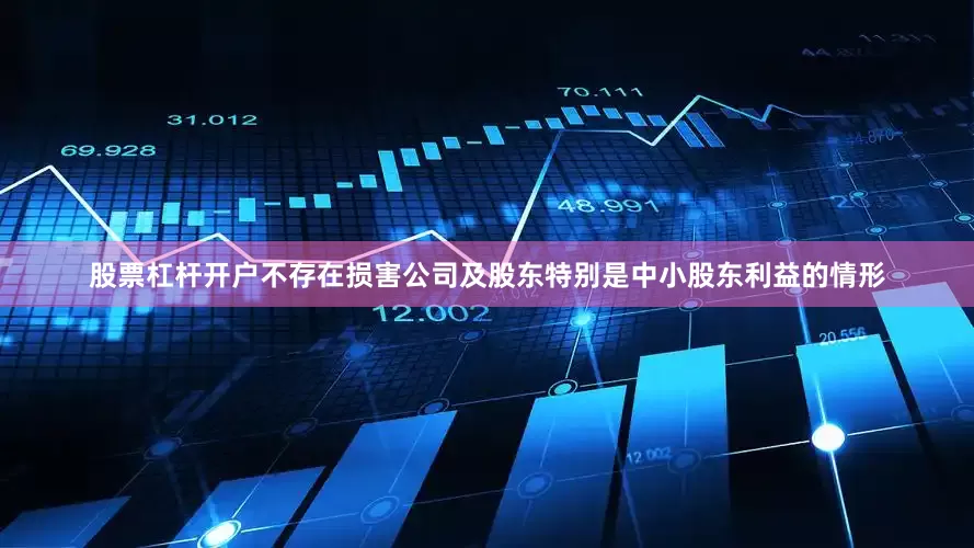 股票杠杆开户不存在损害公司及股东特别是中小股东利益的情形