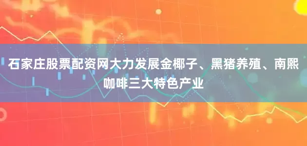 石家庄股票配资网大力发展金椰子、黑猪养殖、南熙咖啡三大特色产业