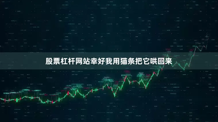 股票杠杆网站幸好我用猫条把它哄回来